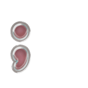 243