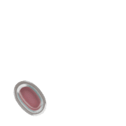 256
