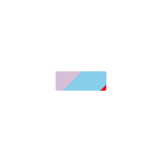 251