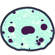 019
