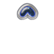 231