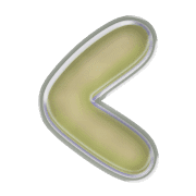 008