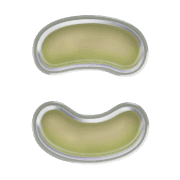 010