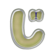 062