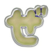 064