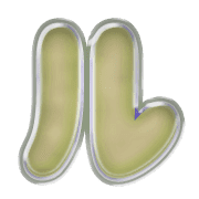 121