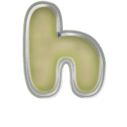 195