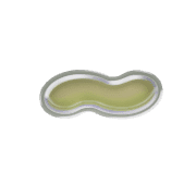 224