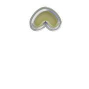 231