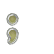 243