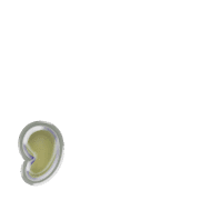245