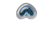 231