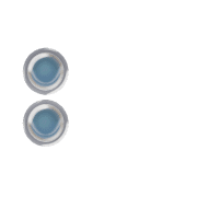 244