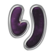 040