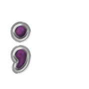 243