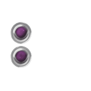 244