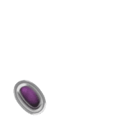 256