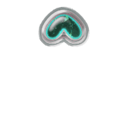 231