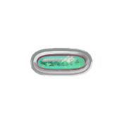 251