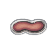 224