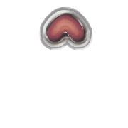 231