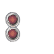 244