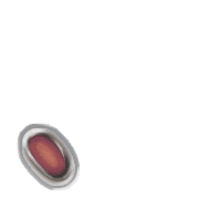 256