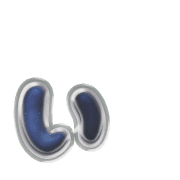 048