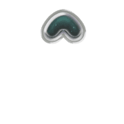 231
