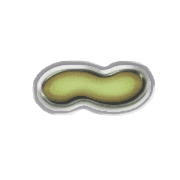 224