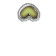 231