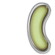234