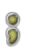 243