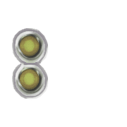 244