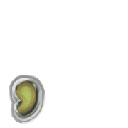 245