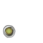 246