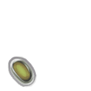 256