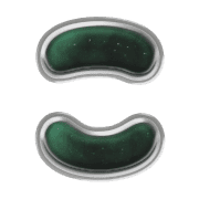 010