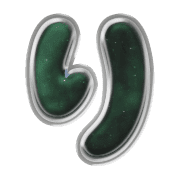 040