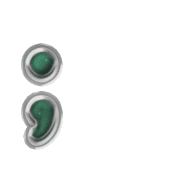 243