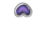 231