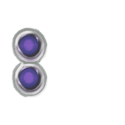 244
