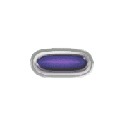 251