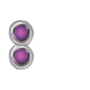 244