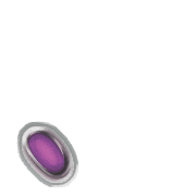 256