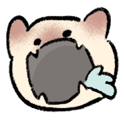 coffecatt 15