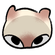 coffecatt 16