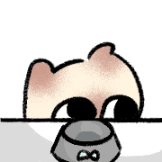 coffecatt 36