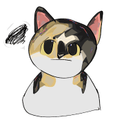 008