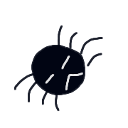 005